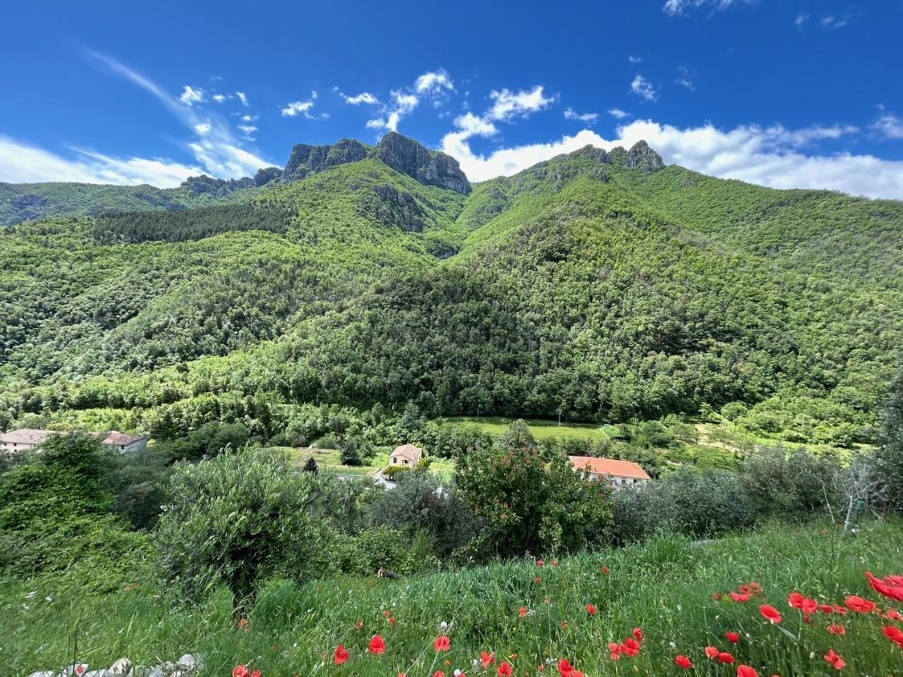 Apartament Castelletto With Mountain View Colletta Zewnętrze zdjęcie